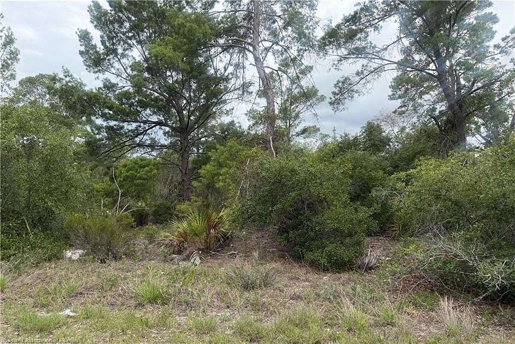 0.23 Acres of Residential Land for Sale in Lake Placid, Florida