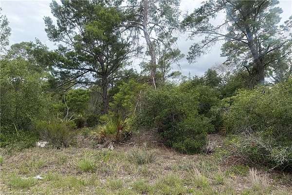0.23 Acres of Residential Land for Sale in Lake Placid, Florida