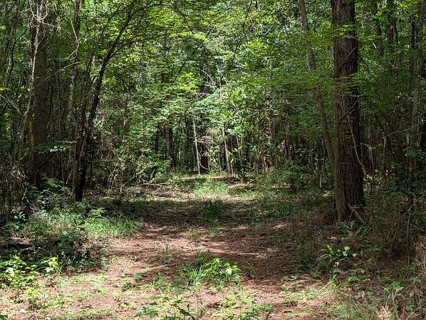 289 Acres of Recreational & Residential Land for Sale in Clopton, Alabama