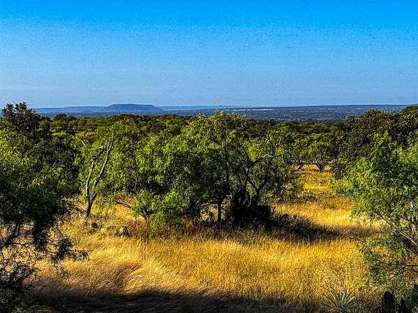 74.4 Acres of Agricultural Land for Sale in Llano, Texas