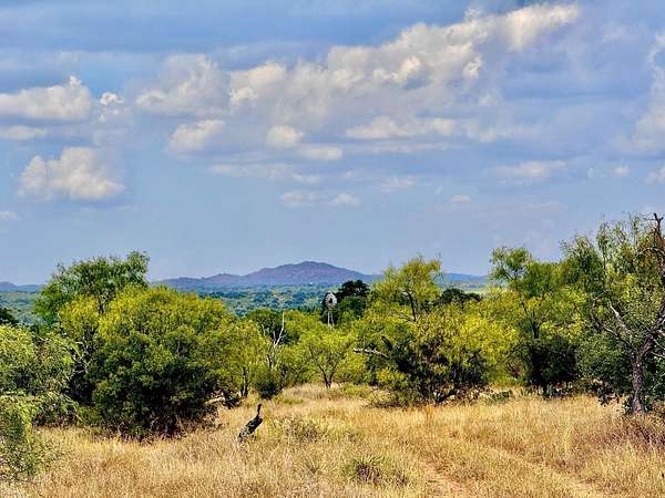 74.4 Acres of Agricultural Land for Sale in Llano, Texas