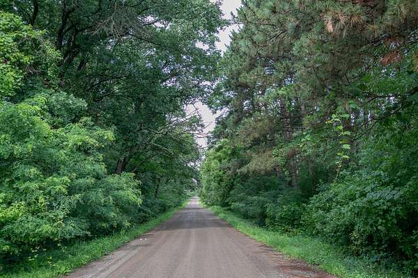 17.5 Acres of Recreational & Residential Land for Sale in Dalbo, Minnesota
