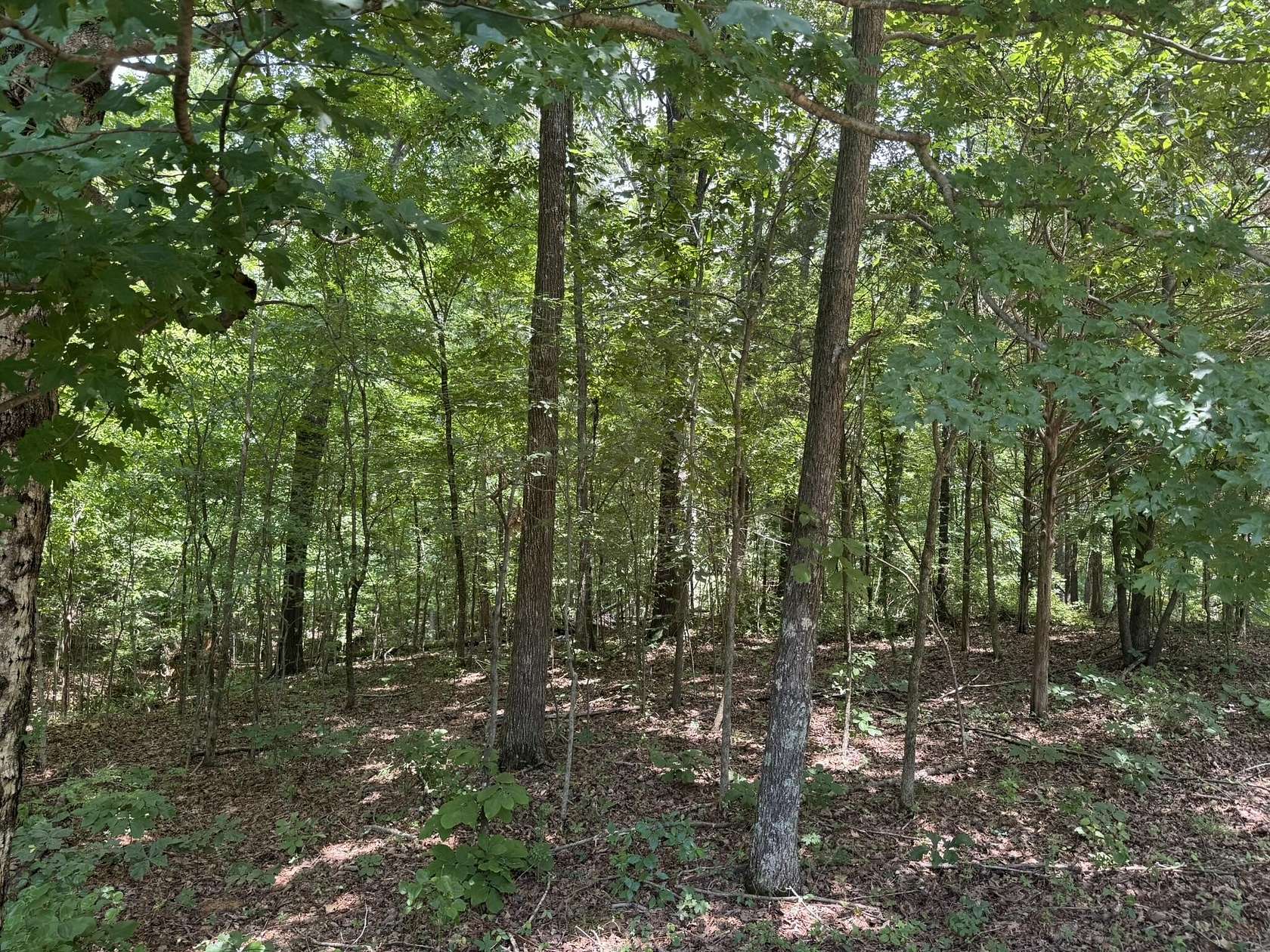 0.62 Acres of Land for Sale in Murray, Kentucky