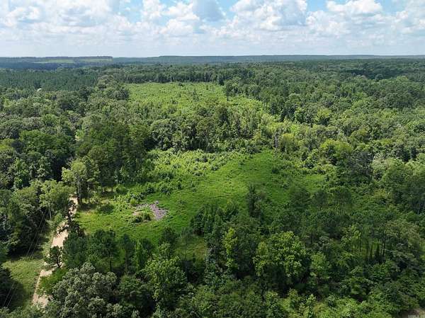 35.9 Acres of Land for Sale in Donaldson, Arkansas