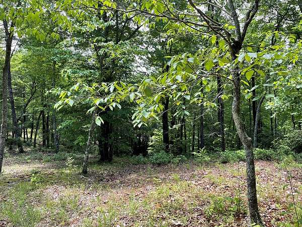 0.71 Acres of Residential Land for Sale in Andrews, North Carolina