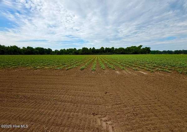 73.4 Acres of Land for Sale in Fremont, North Carolina
