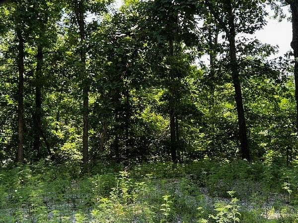 0.32 Acres of Residential Land for Sale in Bella Vista, Arkansas
