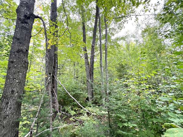5.56 Acres of Residential Land for Sale in Crandon, Wisconsin