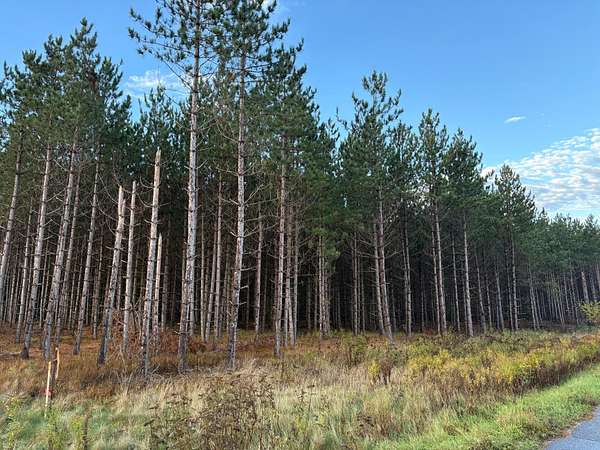 1.7 Acres of Land for Sale in Pelican Lake, Wisconsin