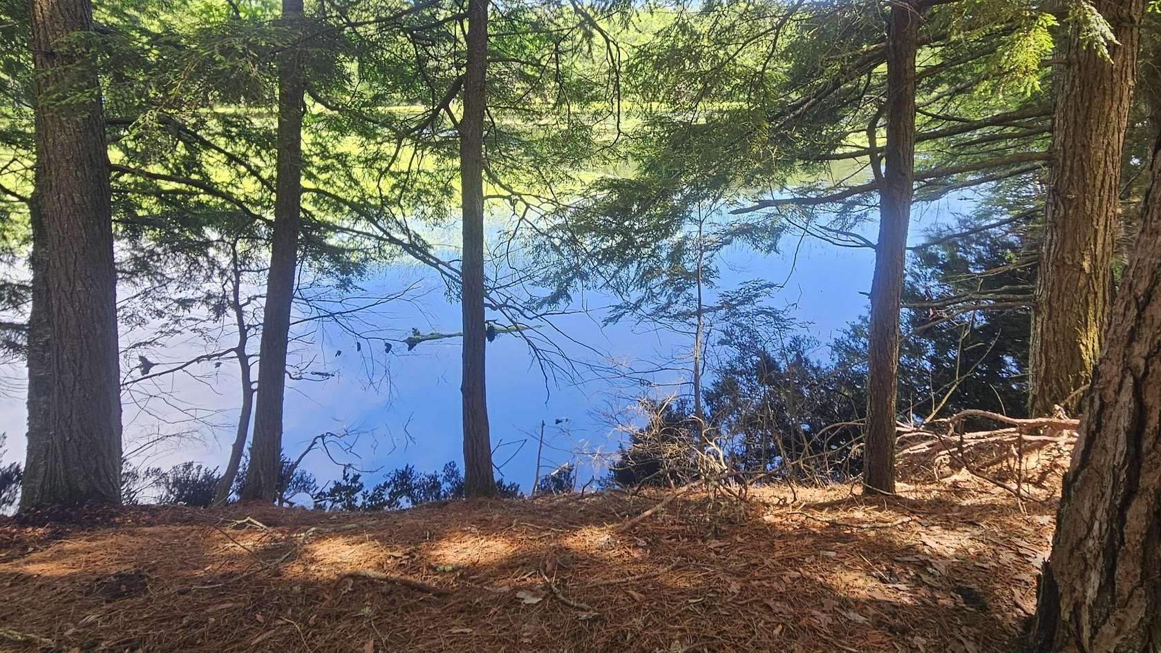 1 Acre of Land for Sale in Three Lakes, Wisconsin
