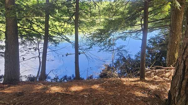 1 Acre of Land for Sale in Three Lakes, Wisconsin
