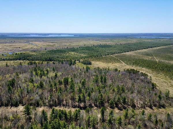48.7 Acres of Recreational & Residential Land for Sale in Three Lakes, Wisconsin
