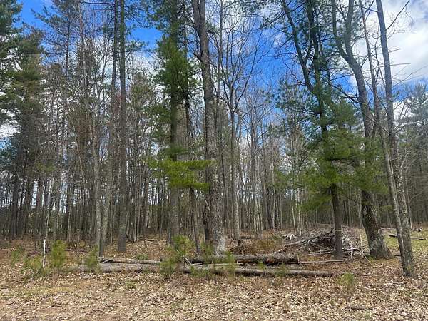 1.6 Acres of Land for Sale in Eagle River, Wisconsin