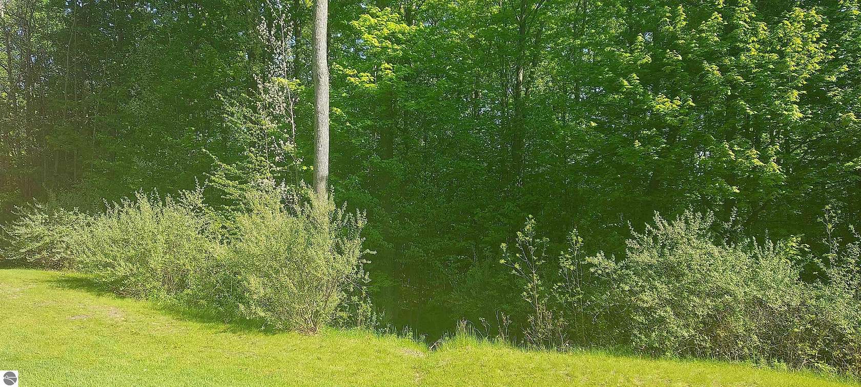 0.75 Acres of Residential Land for Sale in Bellaire, Michigan