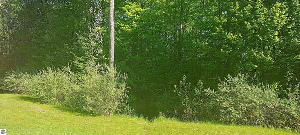 0.75 Acres of Residential Land for Sale in Bellaire, Michigan