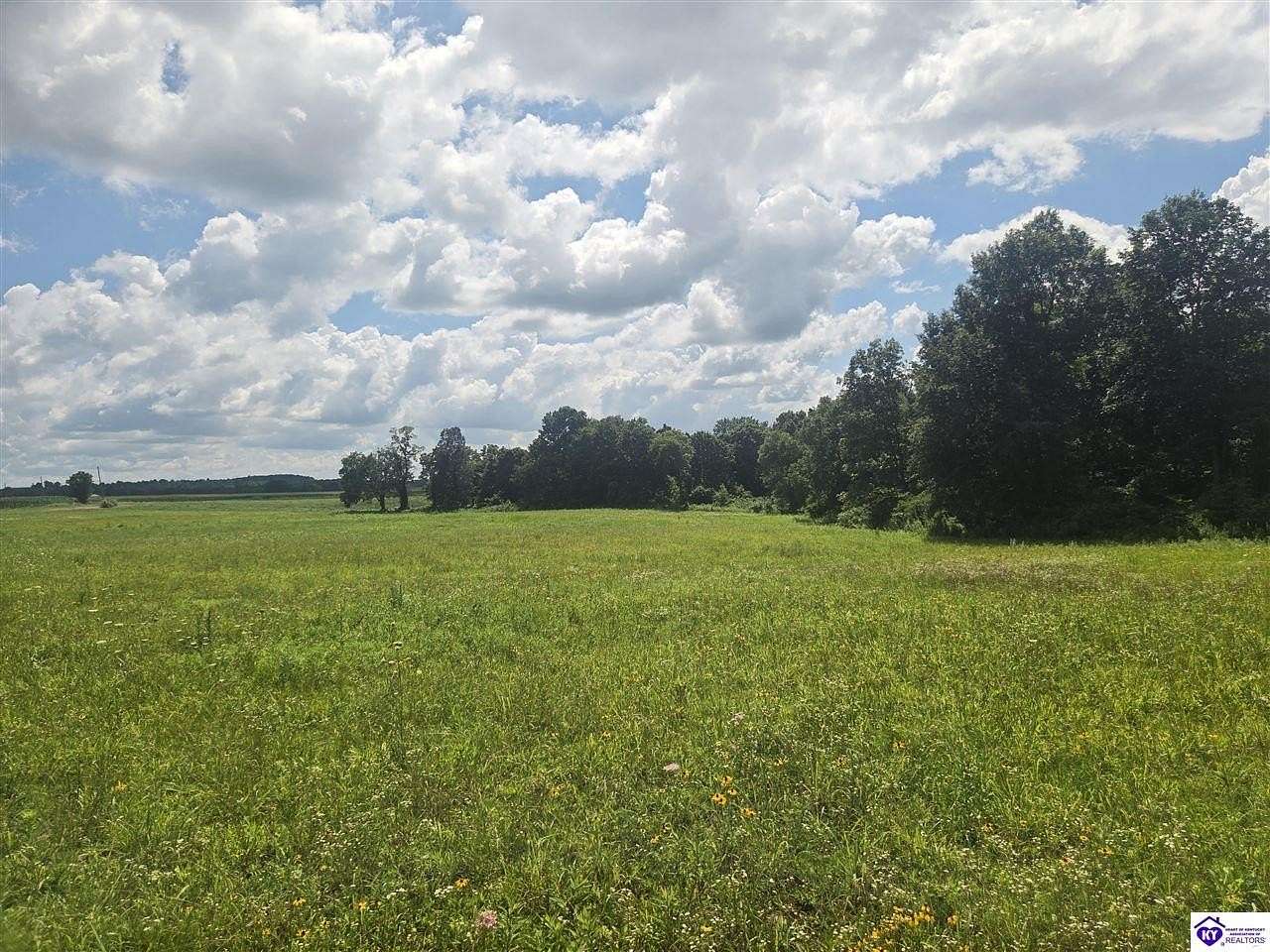 60 Acres of Land for Sale in Custer, Kentucky