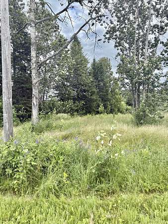 77.2 Acres of Recreational Land for Sale in Perham, Maine