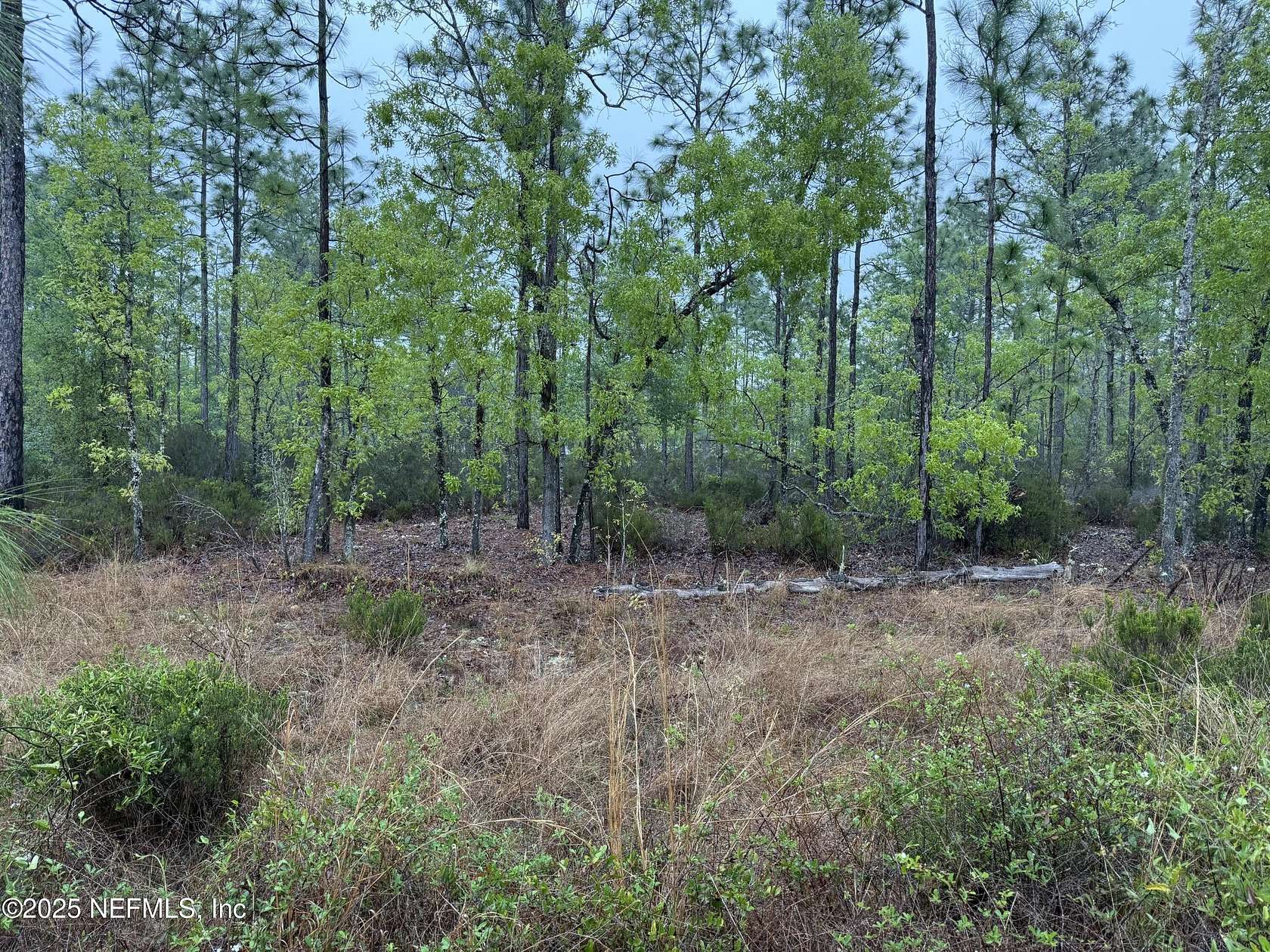 0.45 Acres of Land for Sale in Interlachen, Florida