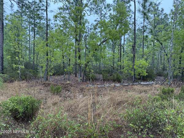 0.45 Acres of Land for Sale in Interlachen, Florida