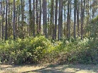 0.23 Acres of Residential Land for Sale in Georgetown, Florida