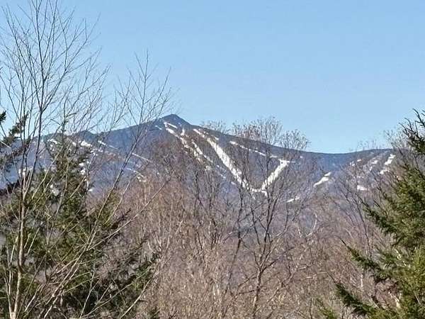 150 Acres of Recreational Land for Sale in Bridgewater, Vermont