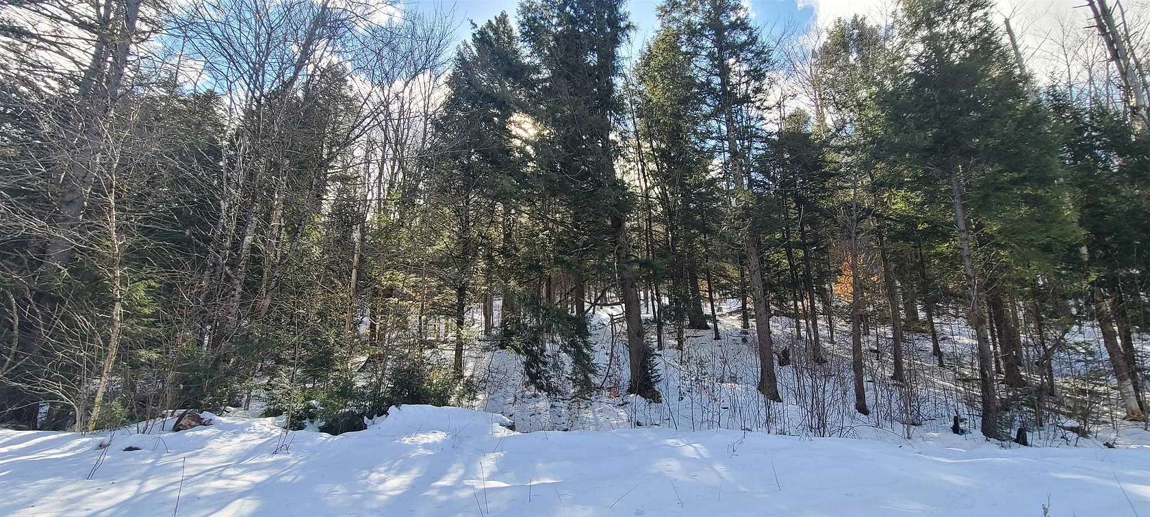 4.68 Acres of Residential Land for Sale in Jamaica, Vermont
