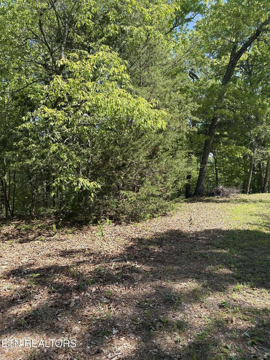 5 Acres of Residential Land for Sale in Townsend, Tennessee