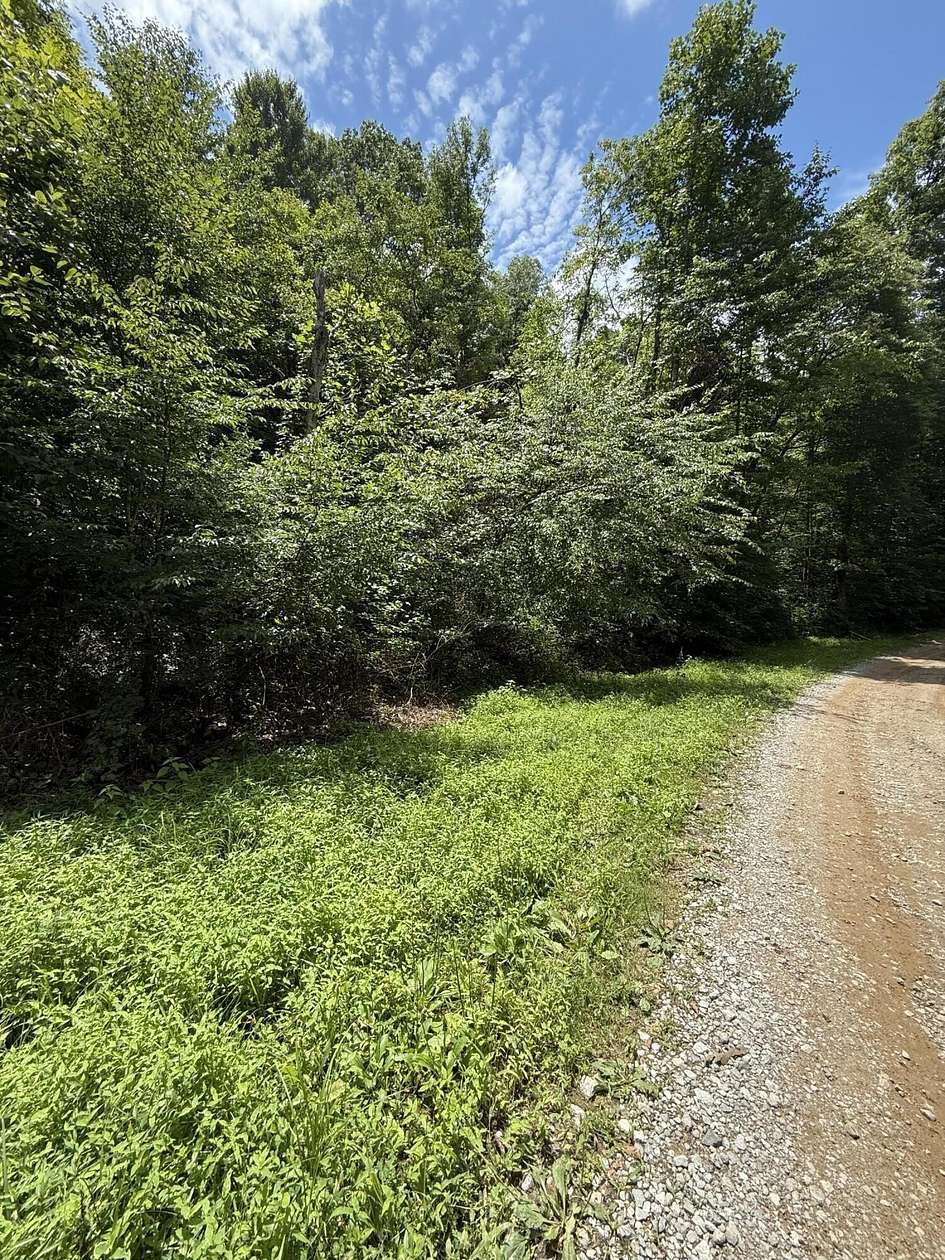 19 Acres of Land for Sale in Woodbine, Kentucky