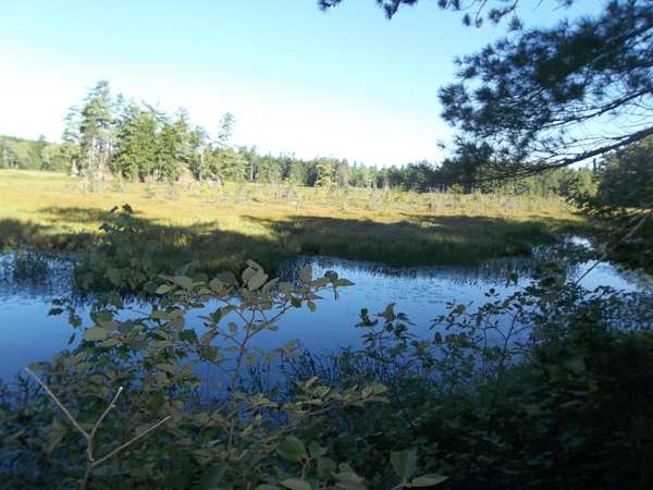 1.5 Acres of Residential Land for Sale in Day Block Township, Maine