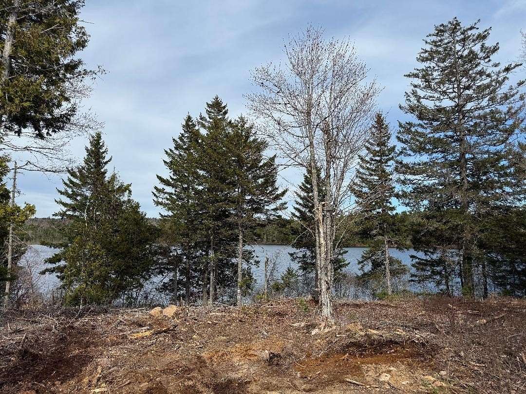 4.6 Acres of Land for Sale in Robbinston, Maine