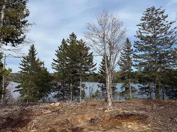 4.6 Acres of Land for Sale in Robbinston, Maine