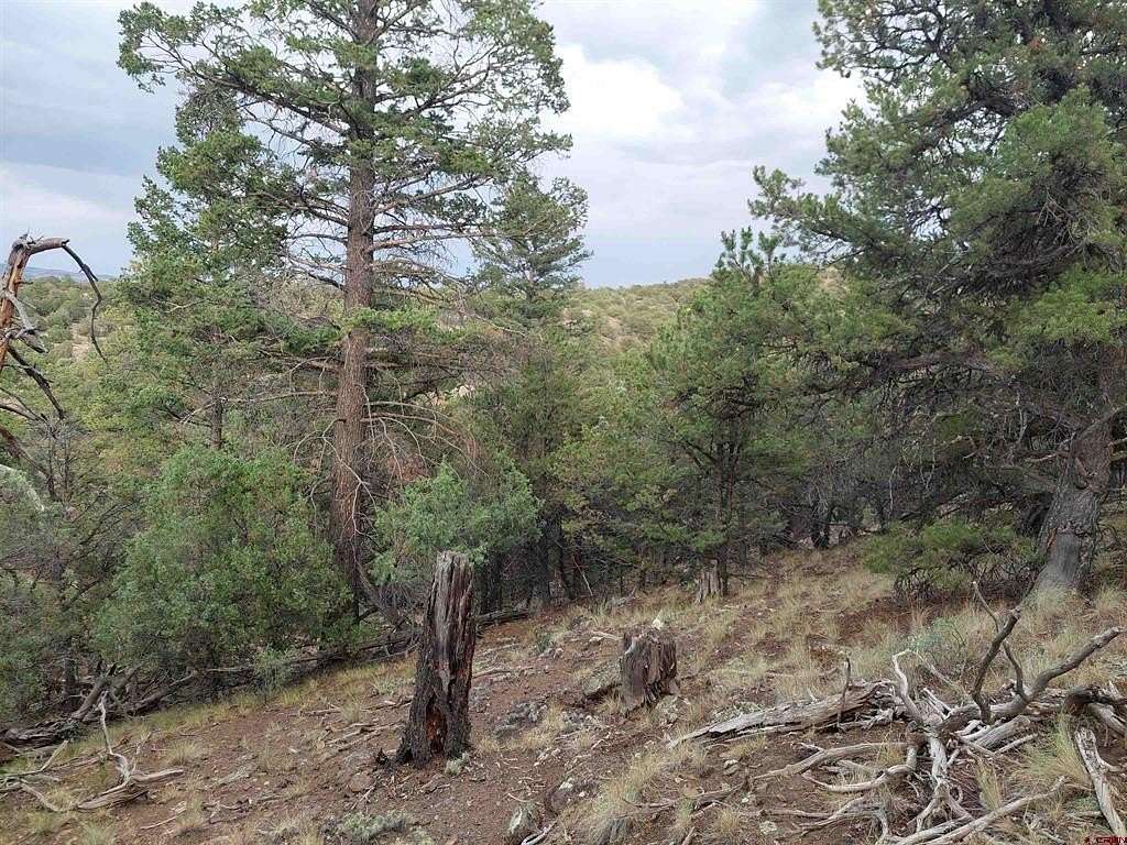 0.3 Acres of Land for Sale in South Fork, Colorado