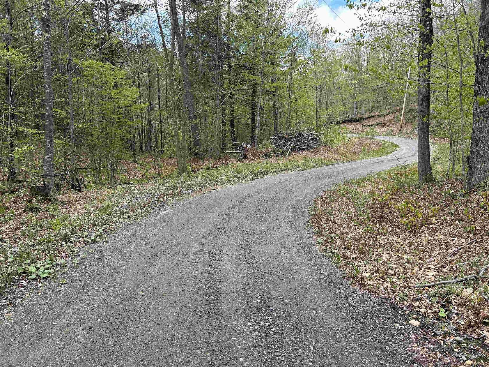 99.4 Acres of Recreational & Residential Land for Sale in Townshend, Vermont