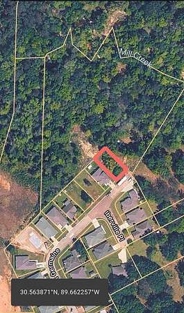 3.8 Acres of Residential Land for Sale in Carriere, Mississippi