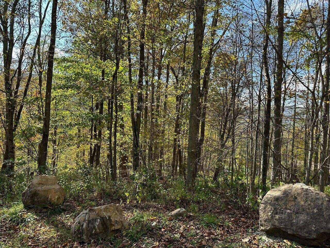 Residential Land for Sale in Slaty Fork, West Virginia