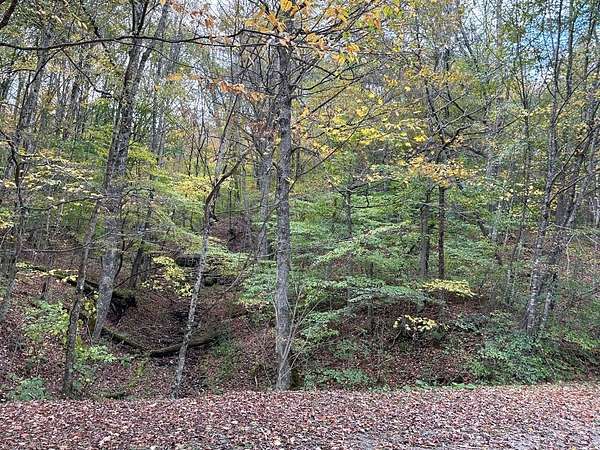 3.7 Acres of Land for Sale in Slaty Fork, West Virginia