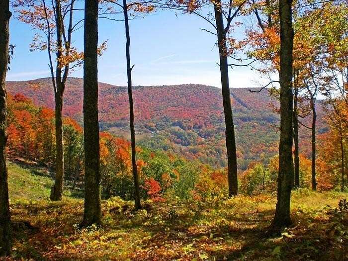 10.9 Acres of Land for Sale in Slaty Fork, West Virginia