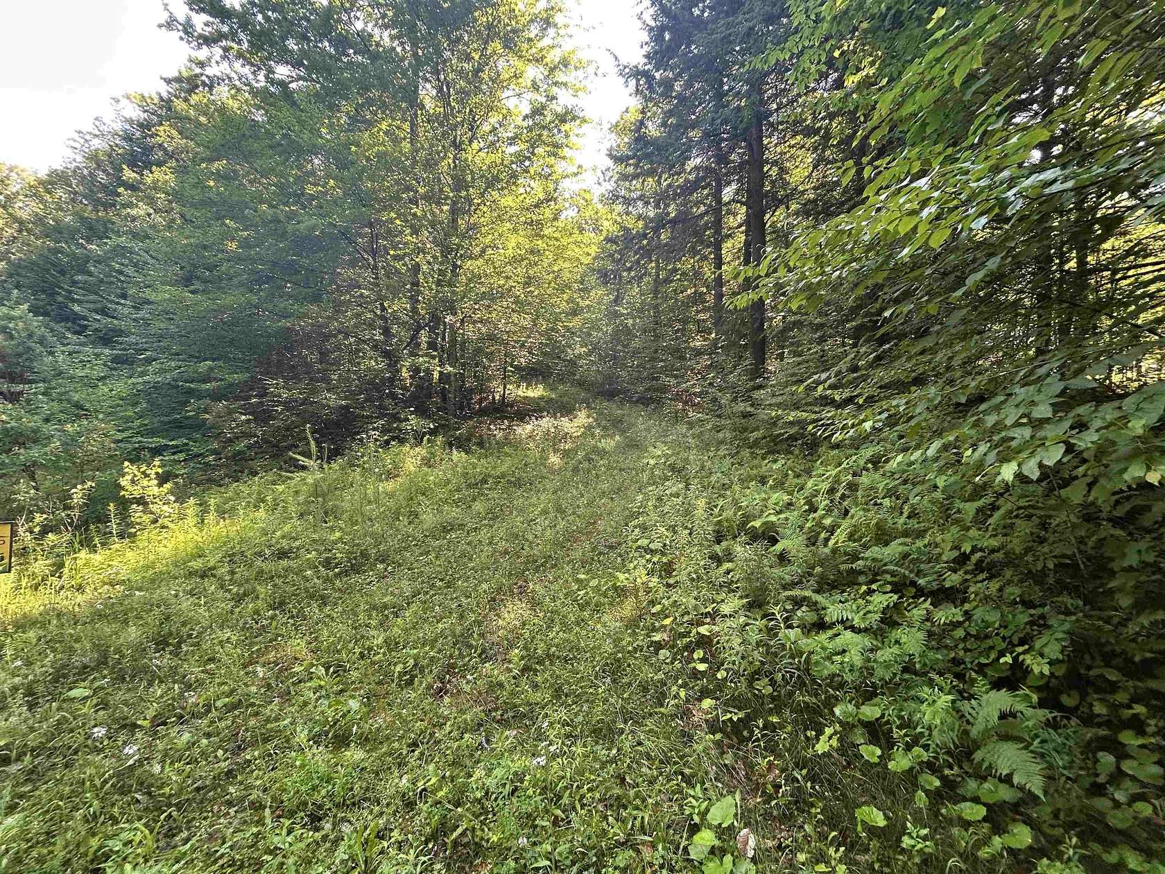 11 Acres of Land for Sale in Londonderry, Vermont