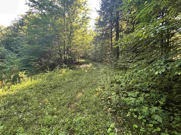 11 Acres of Land for Sale in Londonderry, Vermont