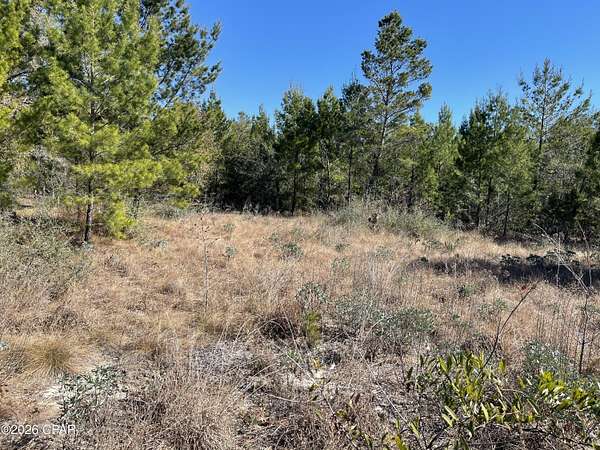 0.23 Acres of Residential Land for Sale in Chipley, Florida