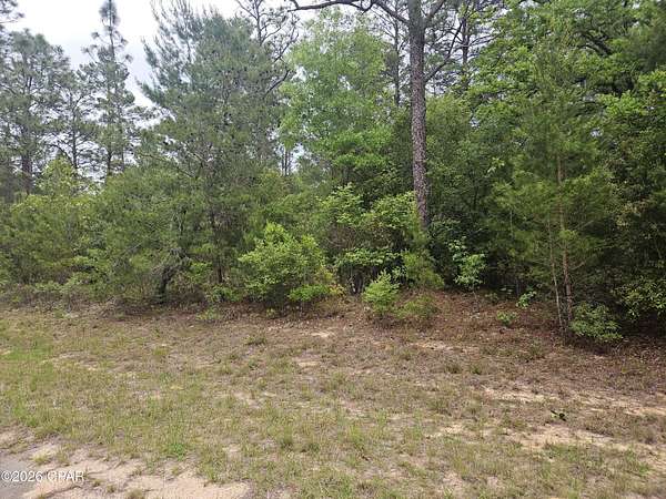 0.23 Acres of Residential Land for Sale in Chipley, Florida