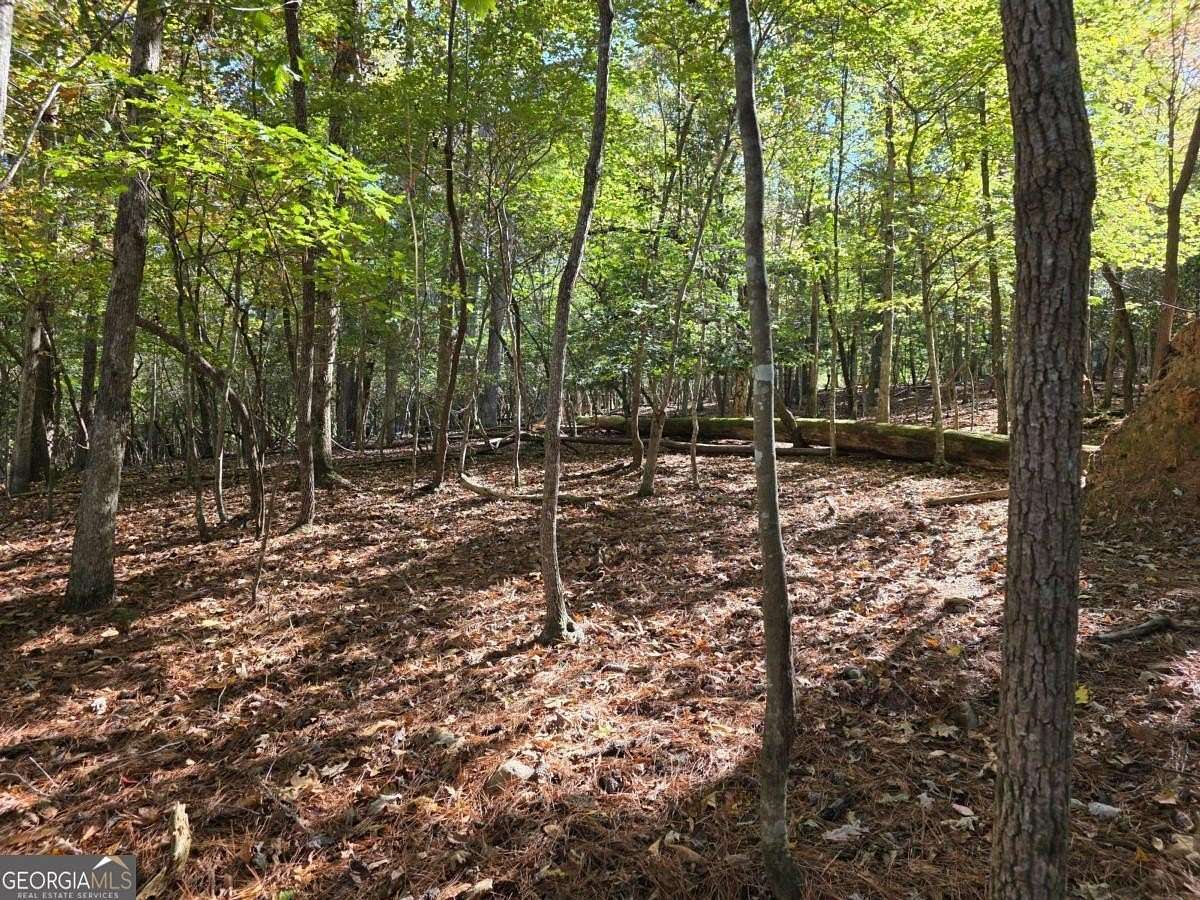 0.5 Acres of Land for Sale in Ellijay, Georgia