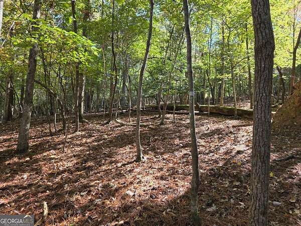 0.5 Acres of Land for Sale in Ellijay, Georgia