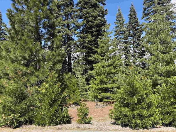 0.43 Acres of Residential Land for Sale in Lake Almanor Peninsula, California