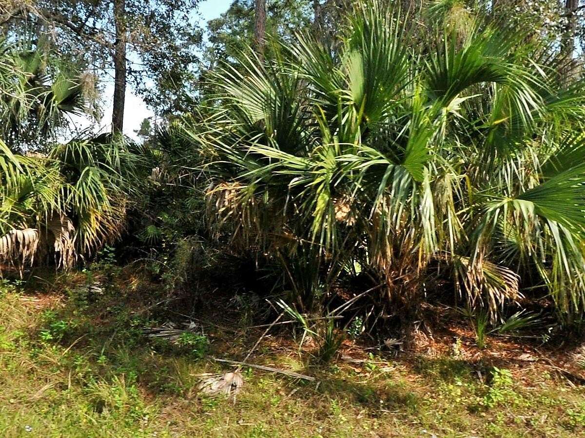 0.23 Acres of Land for Sale in North Port, Florida