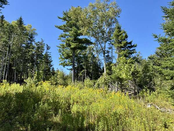 5.44 Acres of Residential Land for Sale in Pembroke, Maine