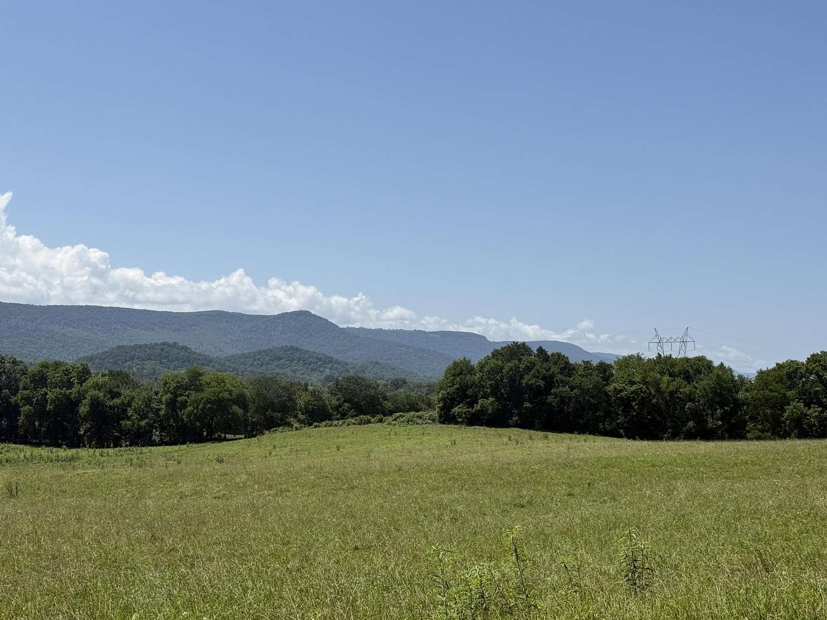 365 Acres of Land for Sale in Pikeville, Tennessee