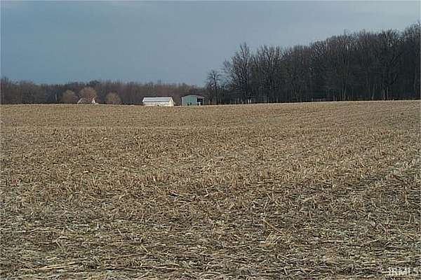 37.5 Acres of Agricultural Land for Sale in Springport, Indiana
