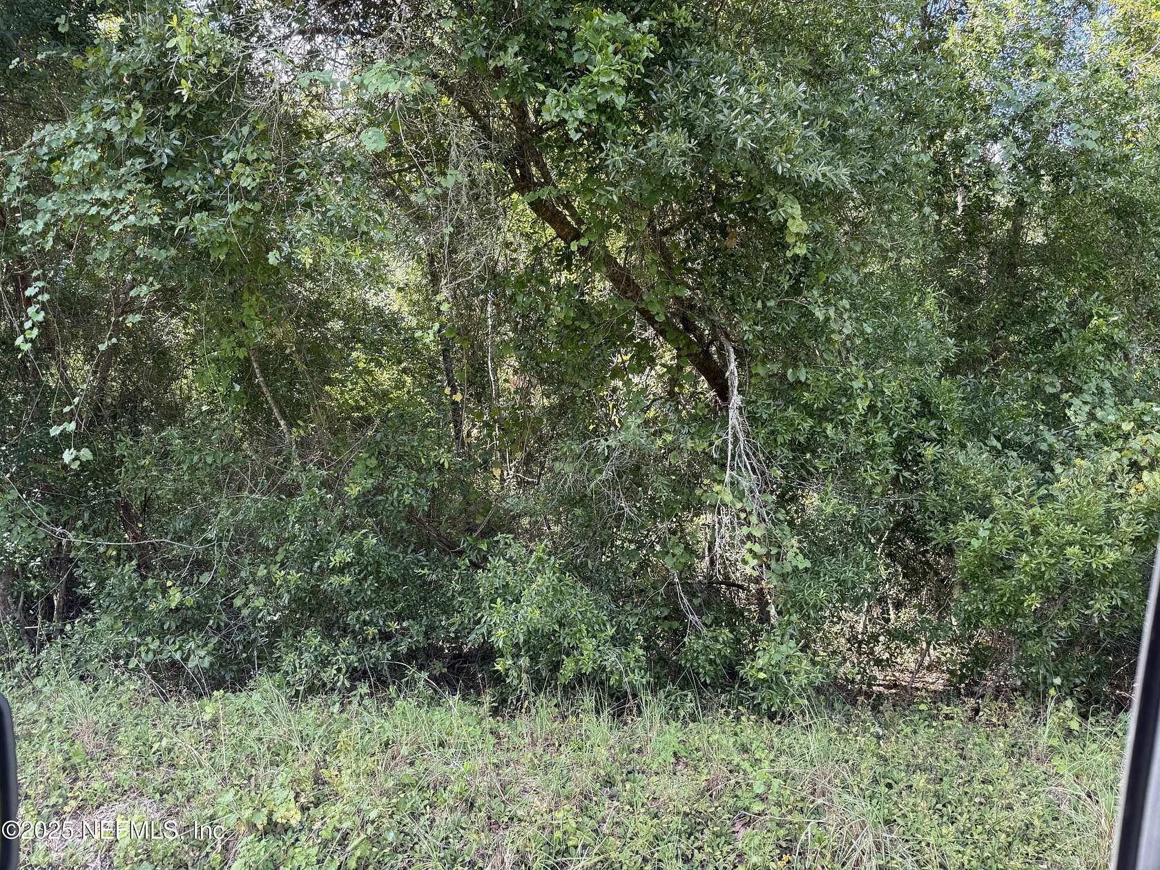 0.1 Acres of Land for Sale in Hawthorne, Florida