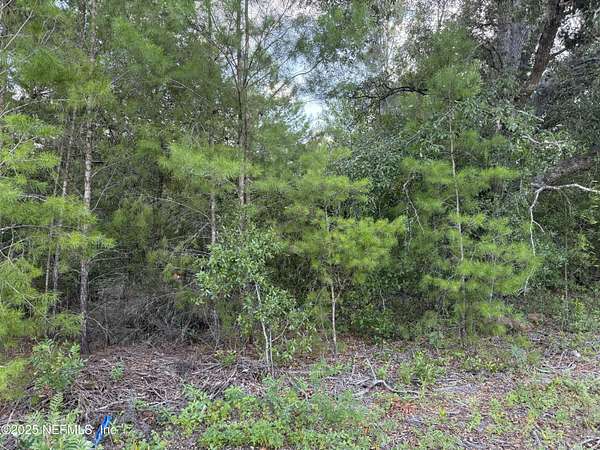0.1 Acres of Residential Land for Sale in Hawthorne, Florida